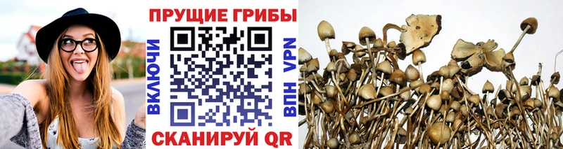 наркота  Нягань  Галлюциногенные грибы MAGIC MUSHROOMS 
